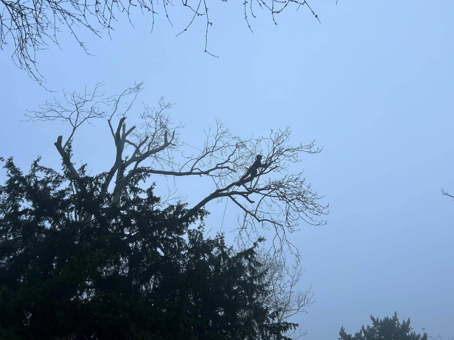 IMG 20231130 WA0006